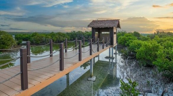 purple island shutterstock 1793173606